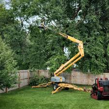 Best Tree Risk Assessment  in Childersburg, AL