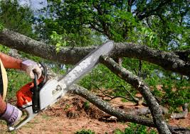 Best Seasonal Cleanup (Spring/Fall)  in Childersburg, AL