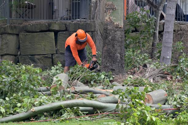  Childersburg, AL Tree Services Pros